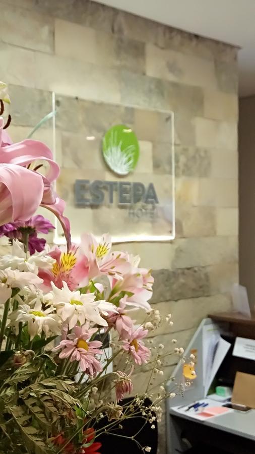 Estepa Hotel General Roca Dış mekan fotoğraf
